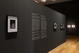 Fotografía de obra