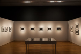 Fotografía de obra