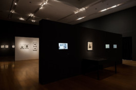 Fotografía de obra