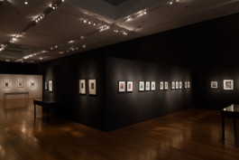 Fotografía de obra