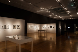 Fotografía de obra