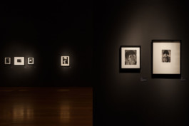 Fotografía de obra