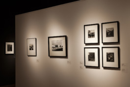 Fotografía de obra