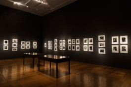 Fotografía de obra