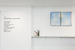 Fotografía de obra
