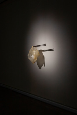 Fotografía de obra
