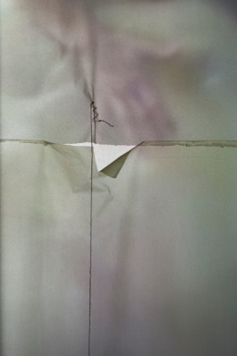 Fotografía de obra