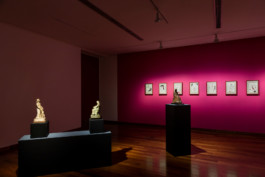 Fotografía de obra