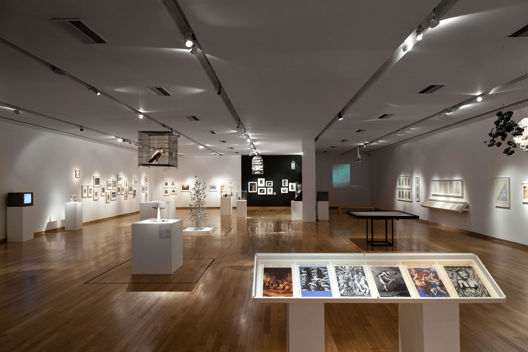 Fotografía de obra — León Ferrari