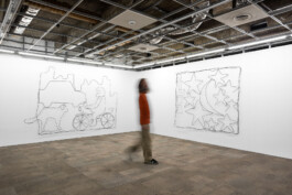 Fotografía de obra